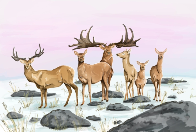 A herd of the giant Megaloceros giganteus.