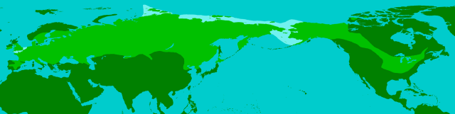 The light green band show the extent of the range of the woolly mammoth. (Image from here)