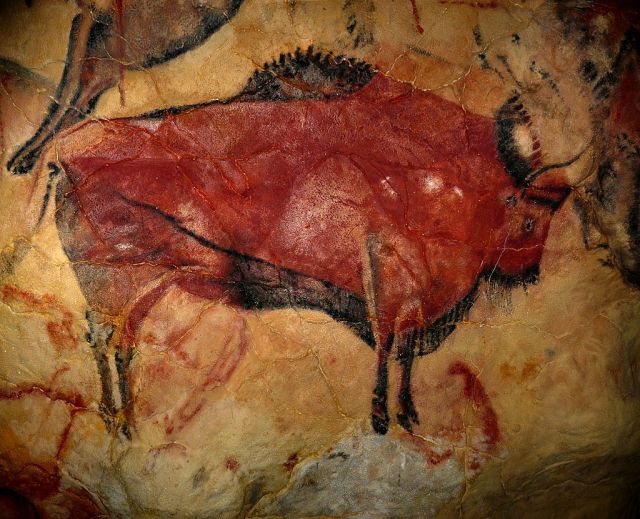 Beautiful cave painting of the magnificent steppe bison, Bison priscus. (Image from here)