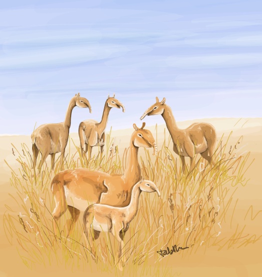 A small herd of the strange looking lip. Art by Tabitha Paterson.