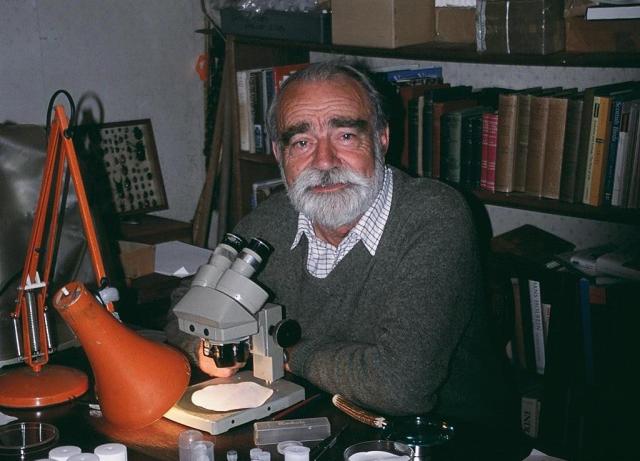Professor Russell Coope, working in his home study during retirement (Image courtesy of AHOB and Sarah Lazarus)
