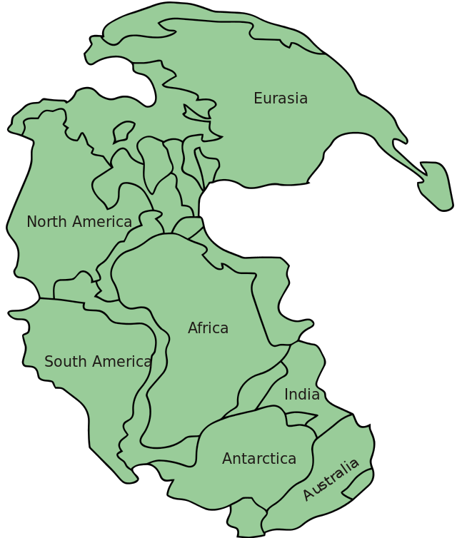 The supercontinent